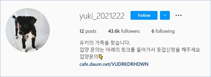 Jeongyeon TWICE membuat akun Instagram untuk menjadi keluarga seekor anjing