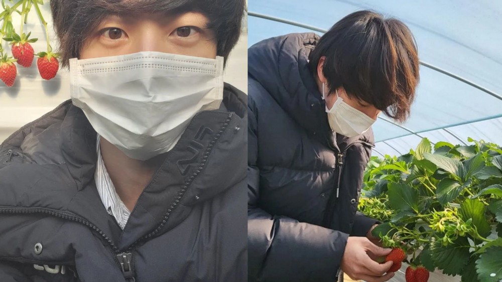 Gara-Gara Jin BTS, Penjualan Stroberi Durihyang Naik 96 Persen Hingga Kehabisan Stok