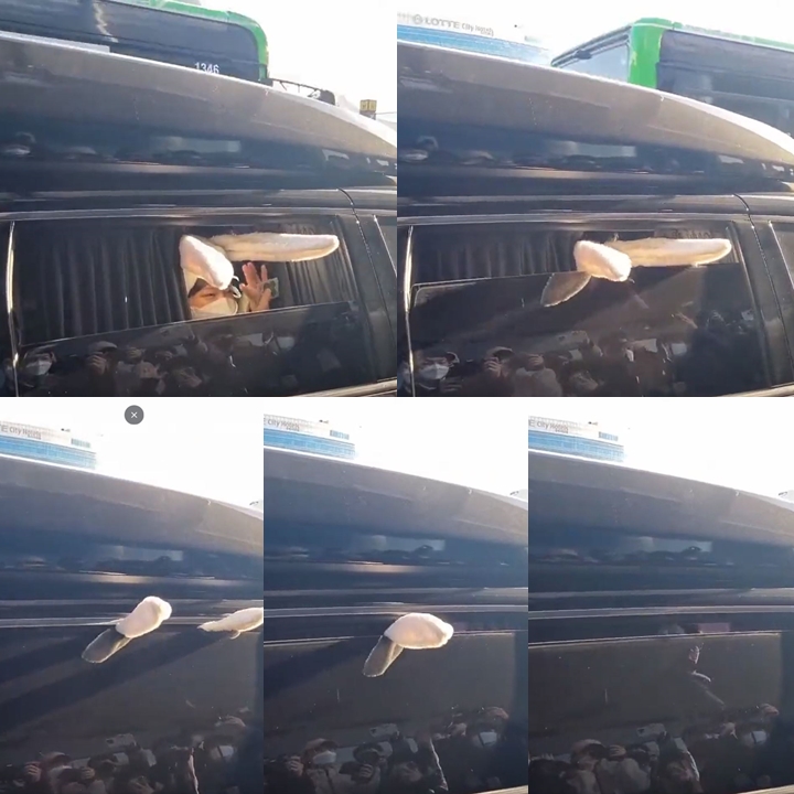 Jeongyeon TWICE Viral Usai Sebabkan Insiden Kocak di BandaraJeongyeon TWICE Viral Usai Sebabkan Insiden Kocak di BandaraJeongyeon TWICE Viral Usai Sebabkan Insiden Kocak di Bandara